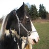 susy6