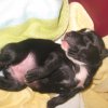 katty1