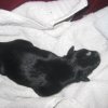katty2