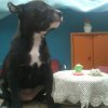 katty31