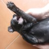 katty7